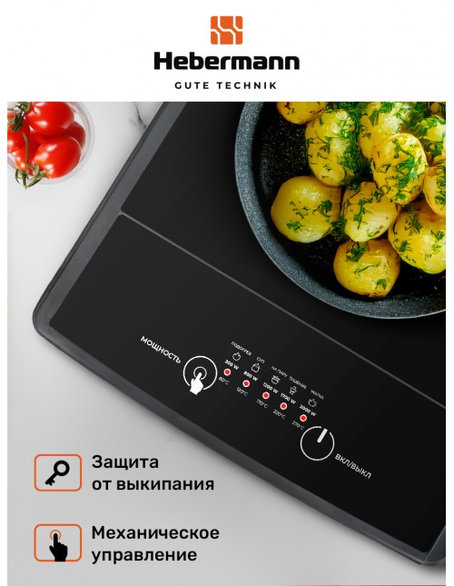 HBIC 1101 Additional Image