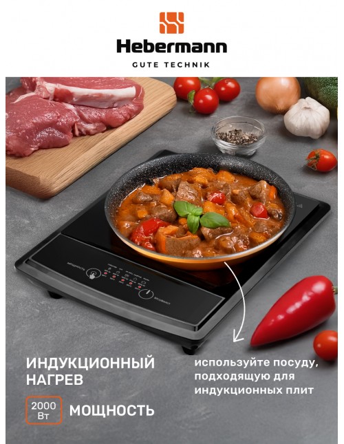 HBIC 1101 Additional Image